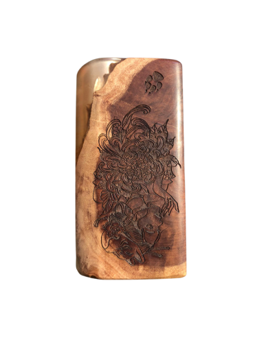 Box Stabwood Hybrid DNA100C - Vape Smarter